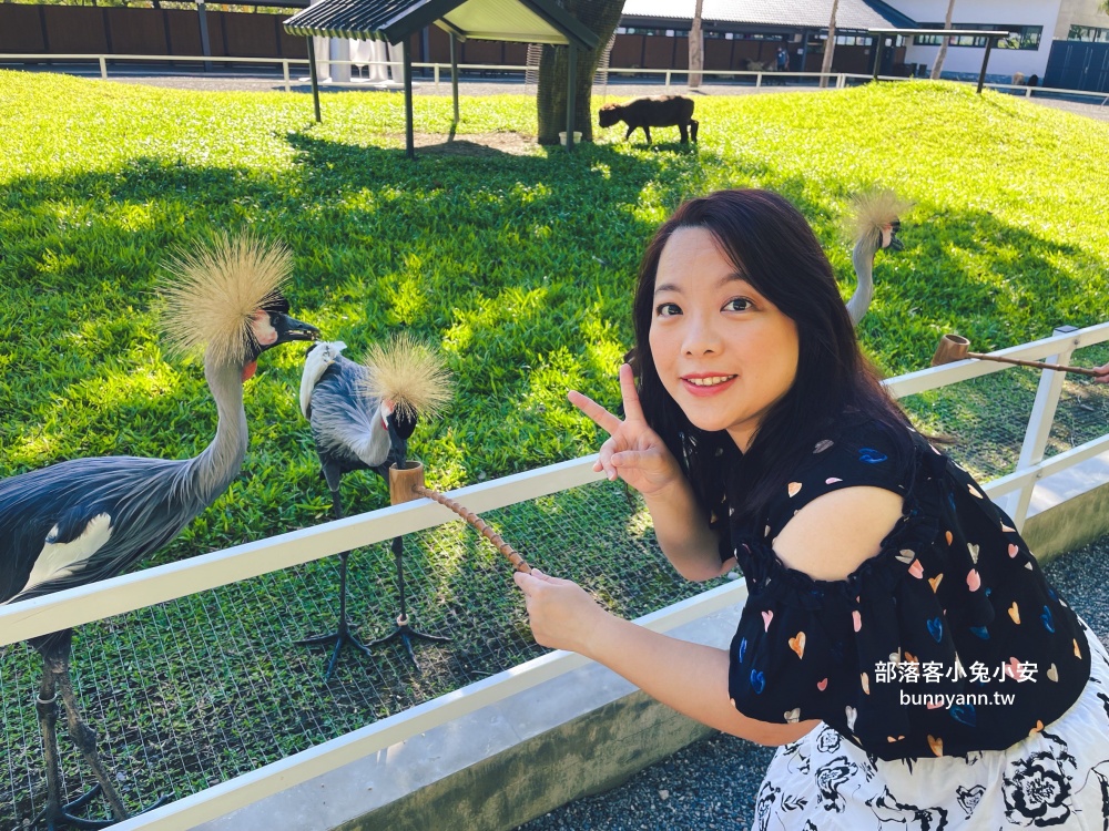 三星鄉【宜蘭樹懶餐廳】張美阿嬤農場2.0版，可愛泰迪羊萌力爆發