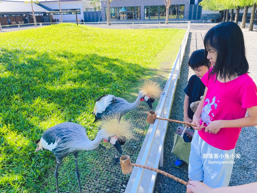 三星鄉【宜蘭樹懶餐廳】張美阿嬤農場2.0版，可愛泰迪羊萌力爆發