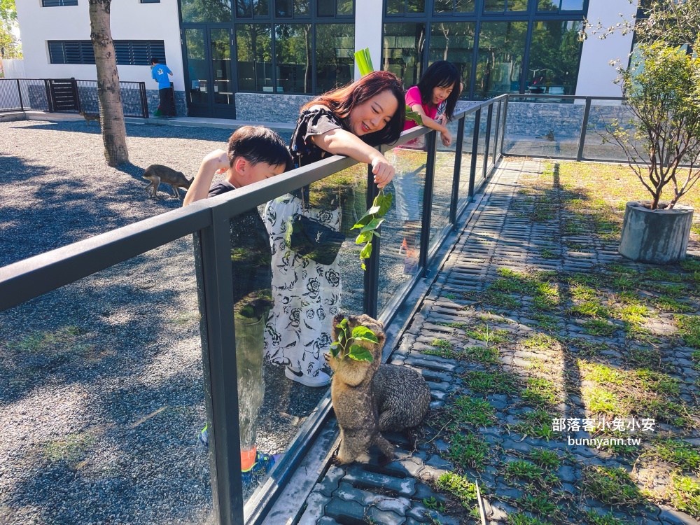 三星鄉【宜蘭樹懶餐廳】張美阿嬤農場2.0版，可愛泰迪羊萌力爆發