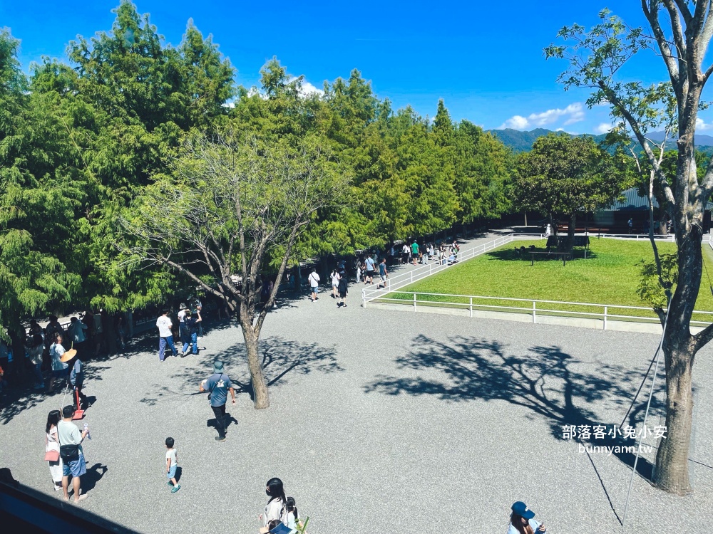 三星鄉【宜蘭樹懶餐廳】張美阿嬤農場2.0版，可愛泰迪羊萌力爆發