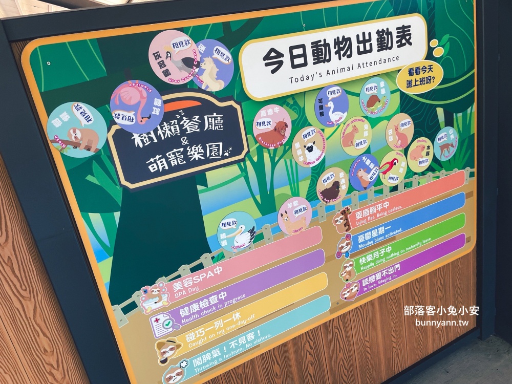 三星鄉【宜蘭樹懶餐廳】張美阿嬤農場2.0版，可愛泰迪羊萌力爆發