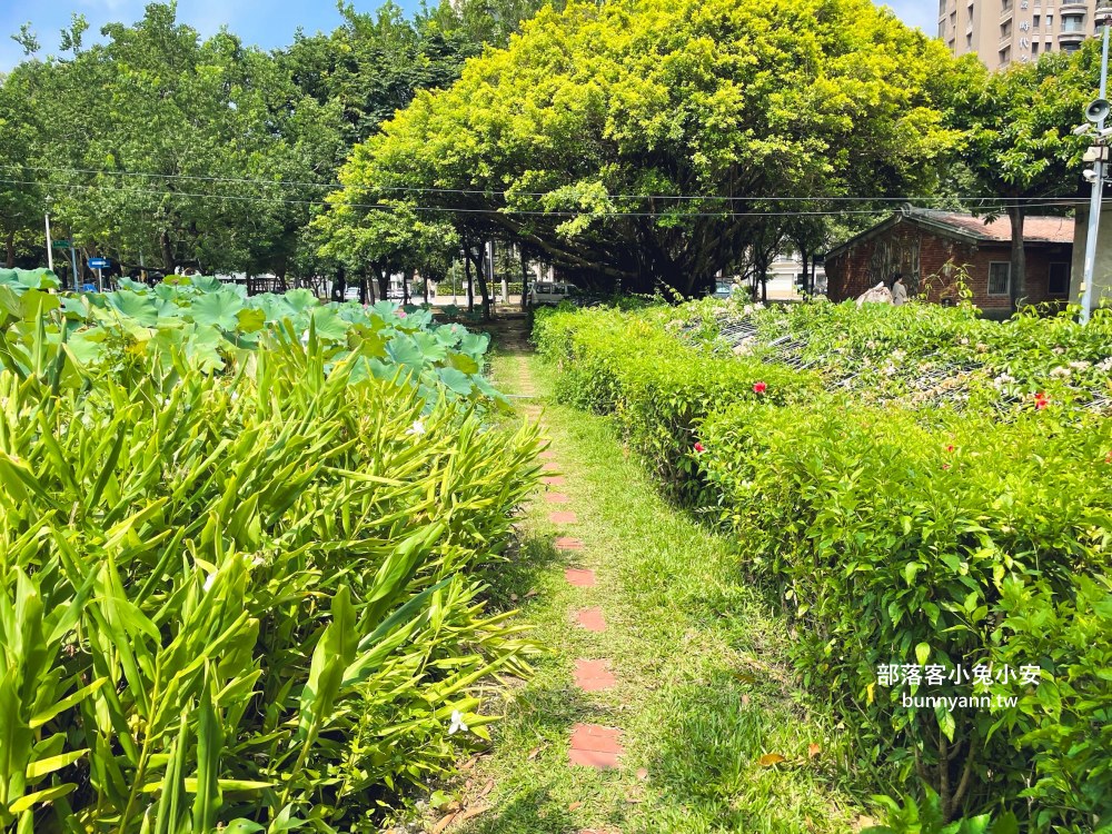 新竹【新瓦屋客家文化保存區】假日市集與免費書屋半日遊安排