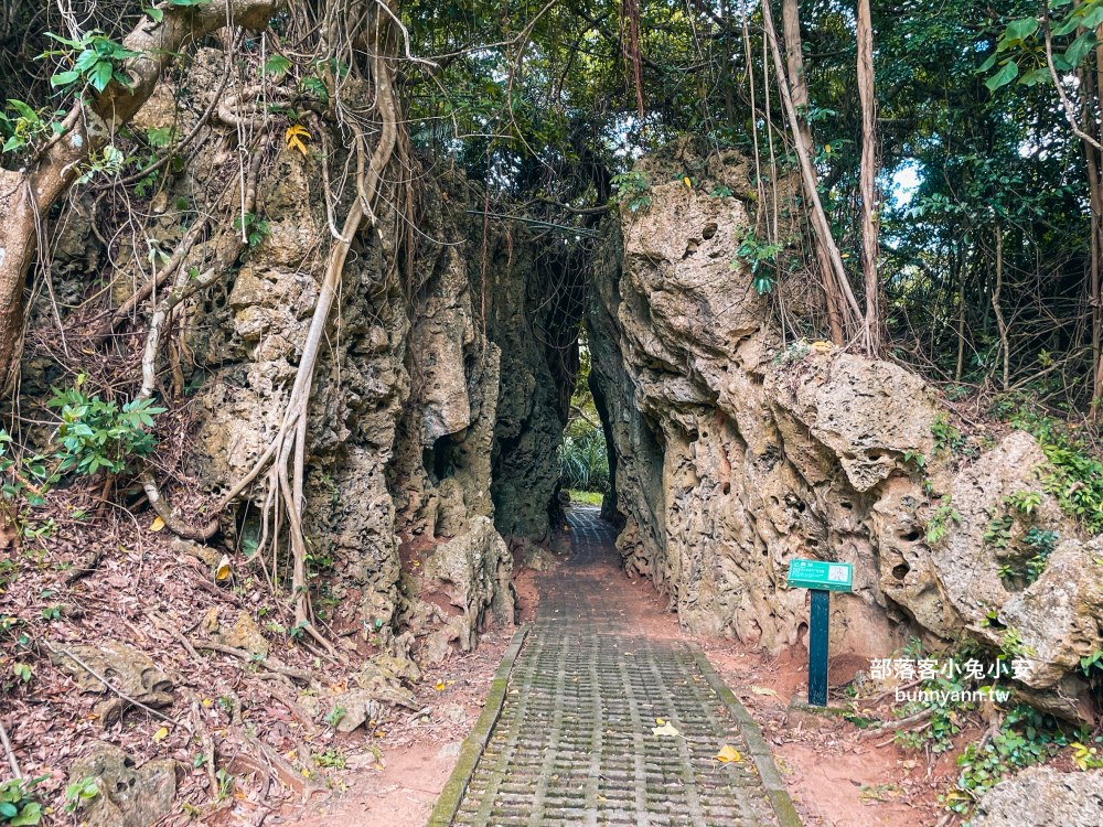 屏東【社頂自然公園】繞一圈半小時的礁岩洞穴環山步道