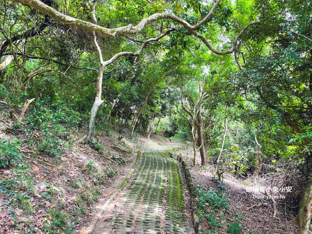 屏東【社頂自然公園】繞一圈半小時的礁岩洞穴環山步道