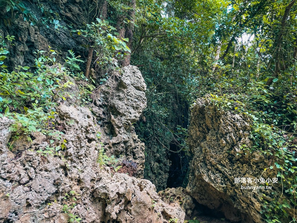 屏東【社頂自然公園】繞一圈半小時的礁岩洞穴環山步道