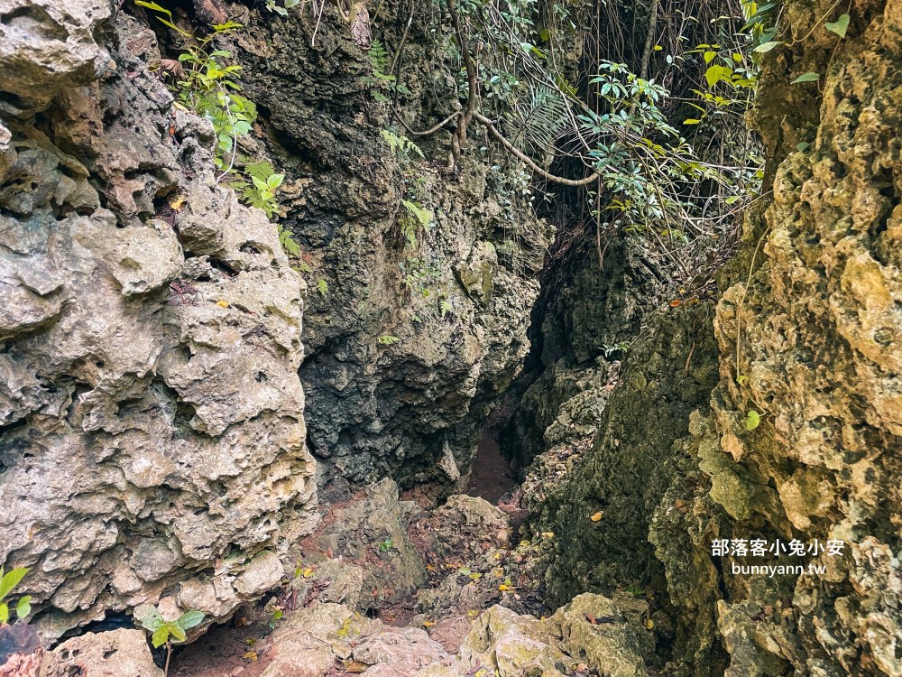屏東【社頂自然公園】繞一圈半小時的礁岩洞穴環山步道