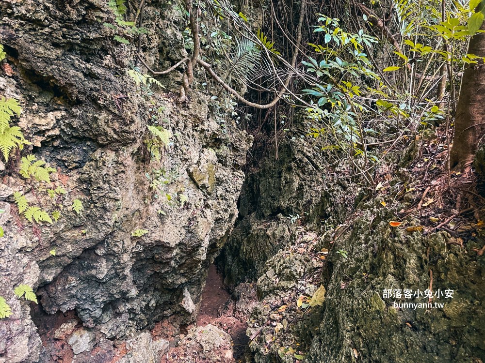 屏東【社頂自然公園】繞一圈半小時的礁岩洞穴環山步道