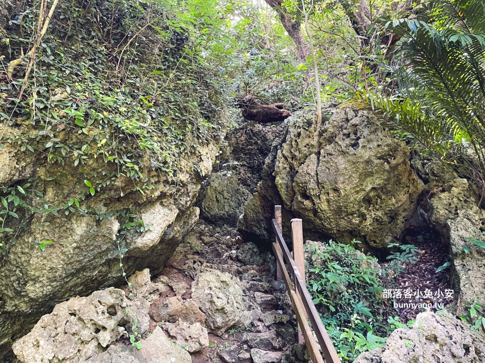屏東【社頂自然公園】繞一圈半小時的礁岩洞穴環山步道