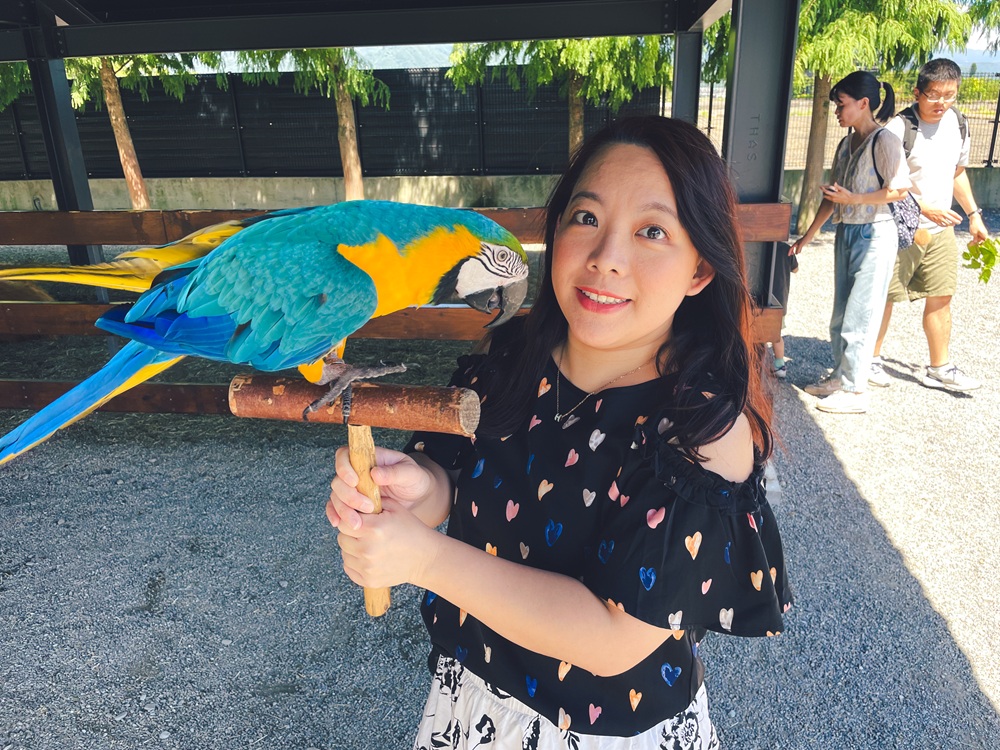三星鄉【宜蘭樹懶餐廳】張美阿嬤農場2.0版，可愛泰迪羊萌力爆發