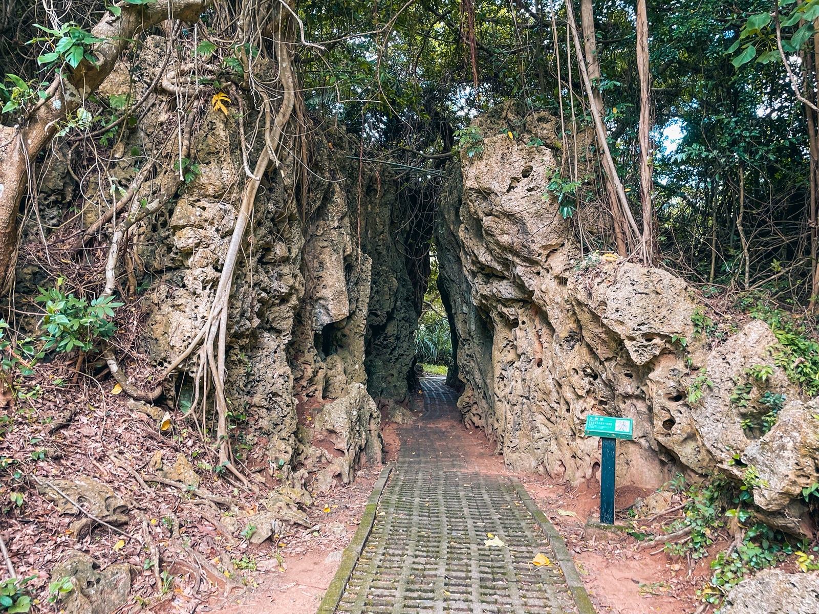社頂自然公園