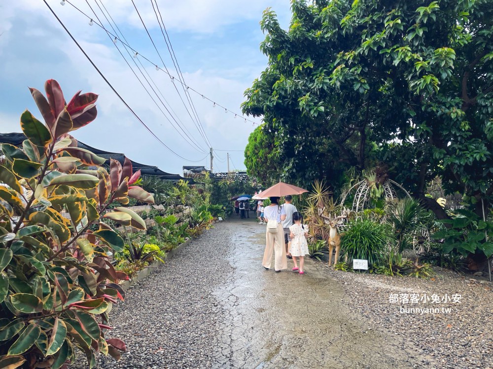 彰化【與你蕨緣】佔地千坪鹿角蕨農場，複合式親子園區免費玩
