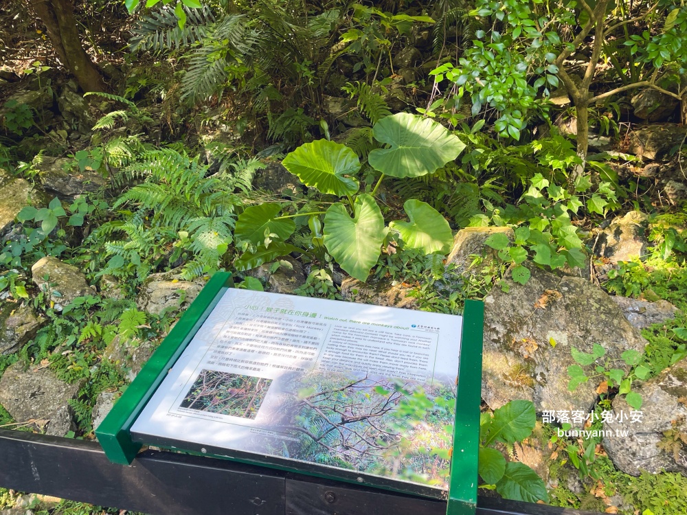 花蓮【太魯閣遊客中心】十分鐘走完的台地步道，免門票展示館也值得到訪