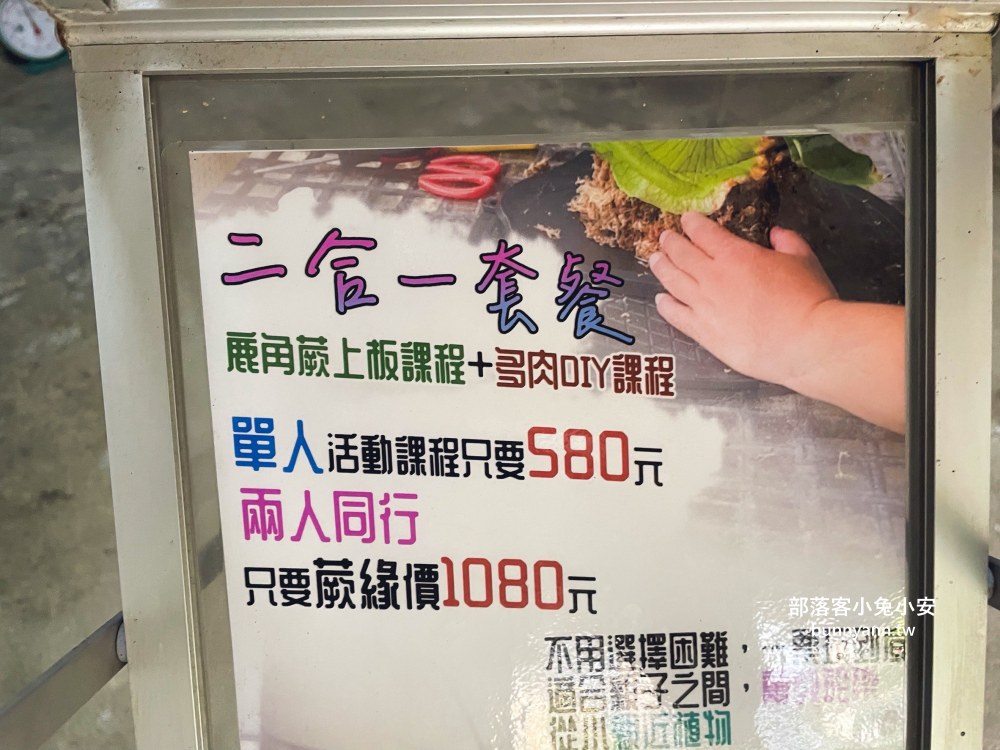 彰化【與你蕨緣】佔地千坪鹿角蕨農場，複合式親子園區免費玩