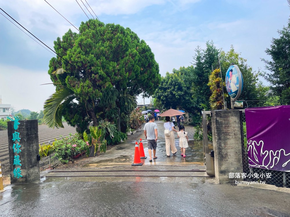 彰化【與你蕨緣】佔地千坪鹿角蕨農場，複合式親子園區免費玩