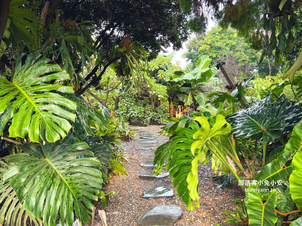 彰化【與你蕨緣】佔地千坪鹿角蕨農場，複合式親子園區免費玩