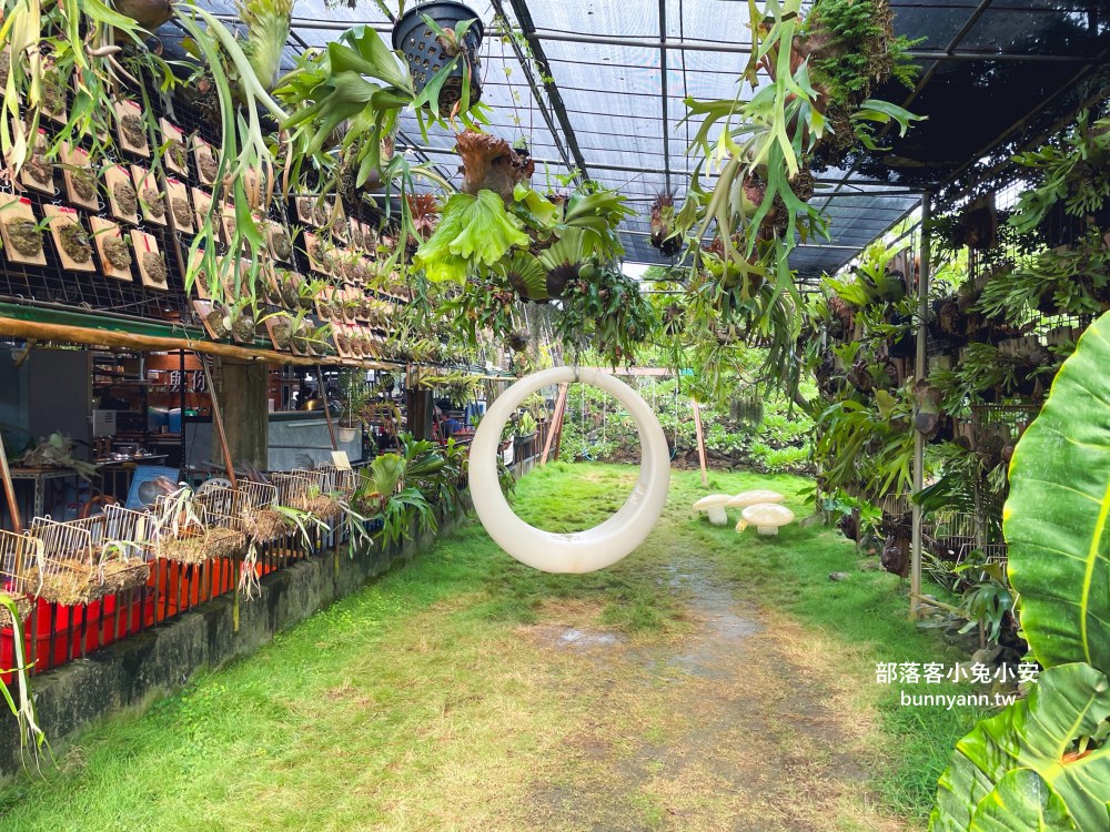 彰化【與你蕨緣】佔地千坪鹿角蕨農場，複合式親子園區免費玩