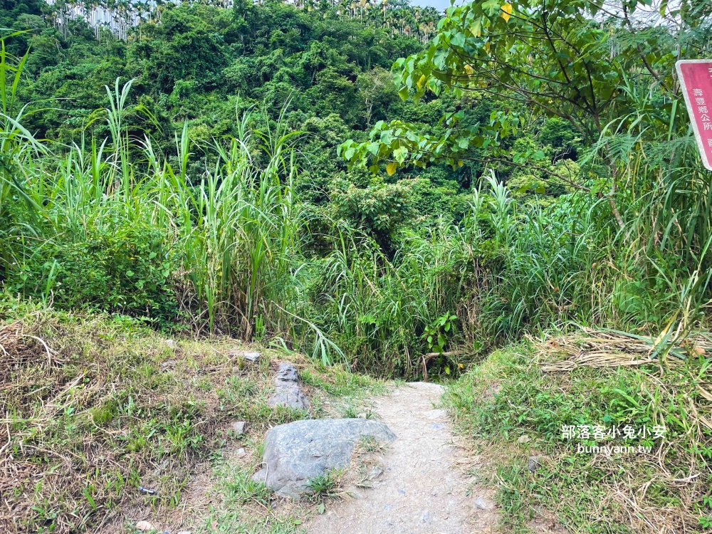 花蓮【白鮑溪親水園區】橋下走三分鐘就到的在地人玩水去處，地點公開!!