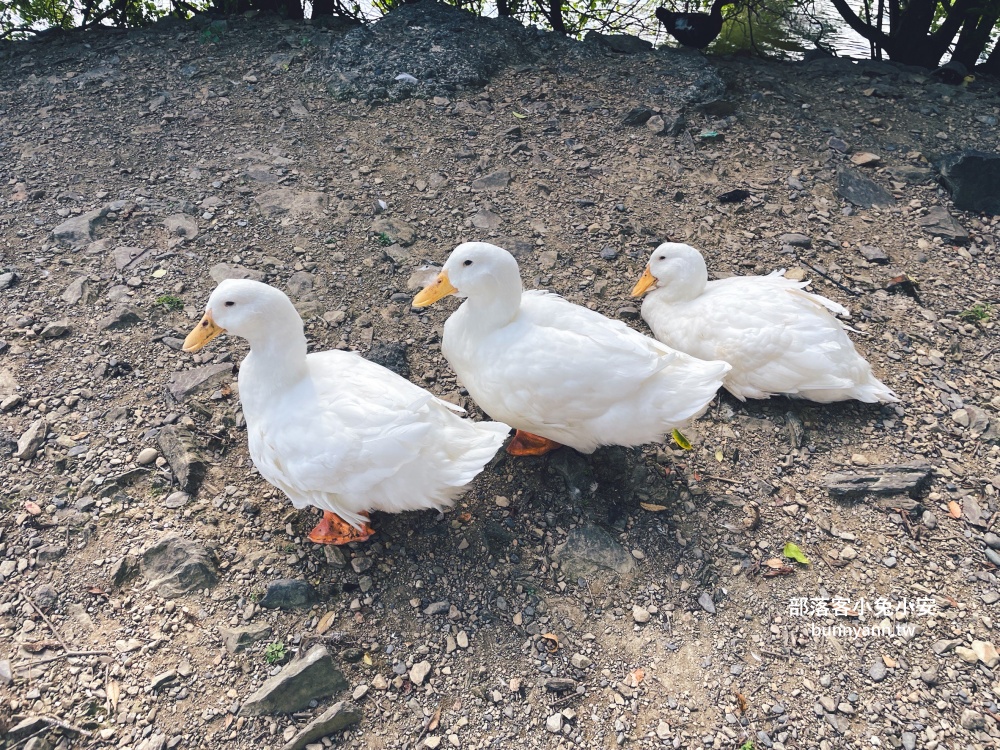 宜蘭龍潭湖公園半日遊，單程繞一圈不用一小時，沿途湖光山色真美