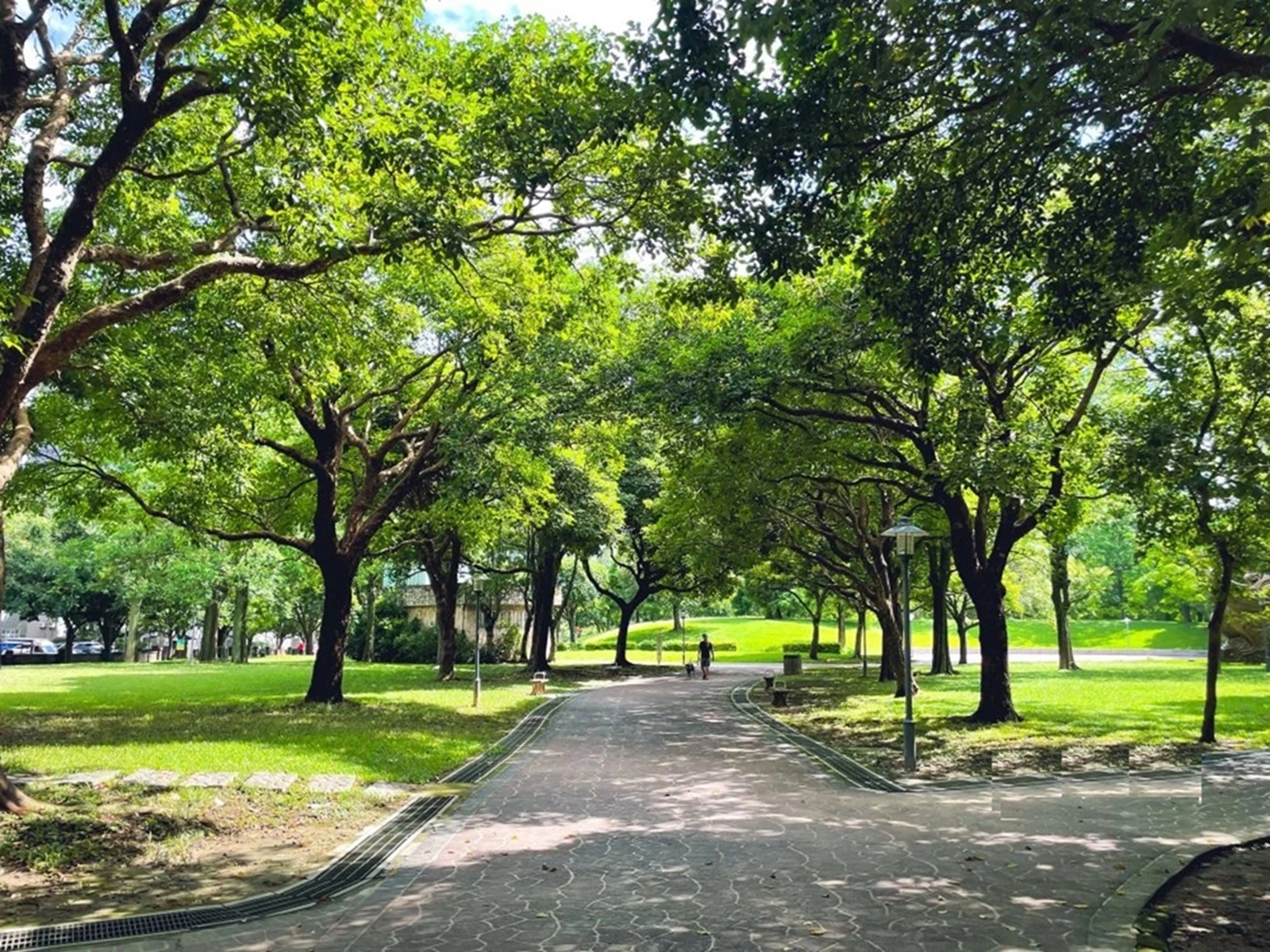 大溪埔頂公園 大溪埔頂公園