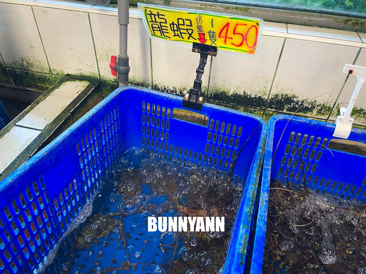 花蓮海產店【055龍蝦海鮮餐廳】超熱門海鮮餐廳！龍蝦與鮑魚便宜賣真強大