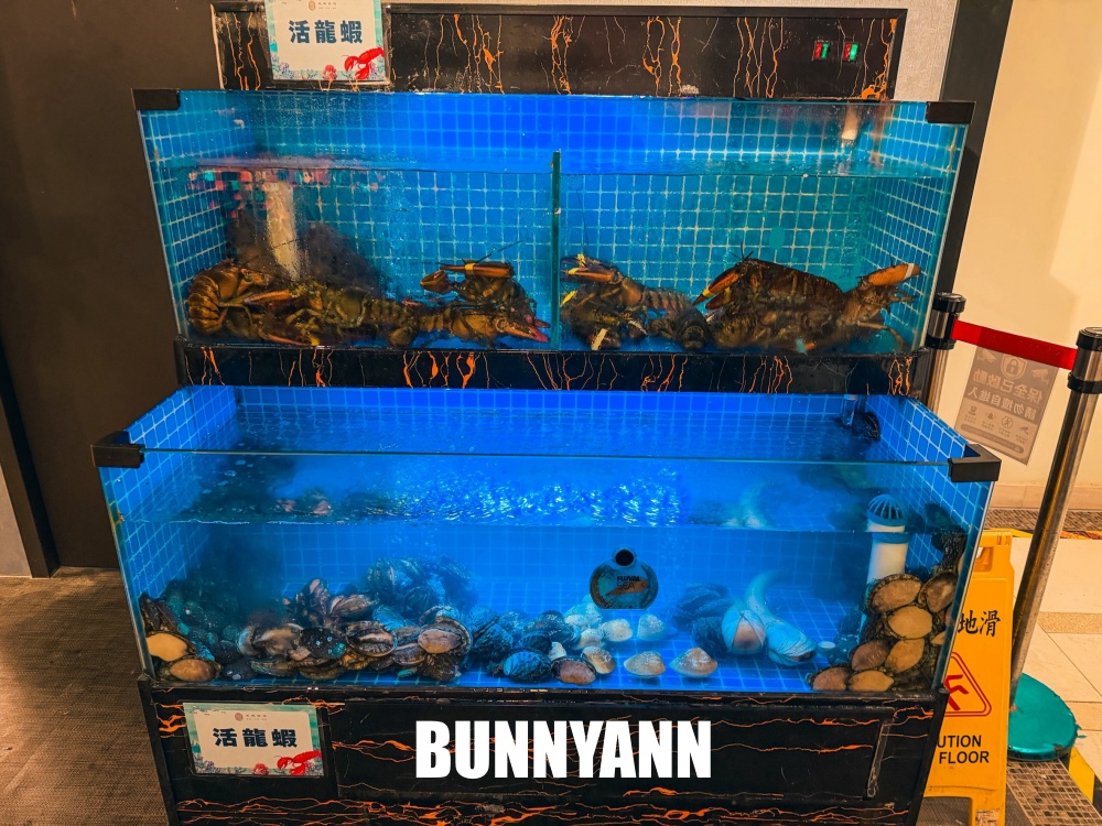 一半的人不知道，是鮑魚雞湯店家，每口都有濃郁膠質，龍蝦買一送一也是主打