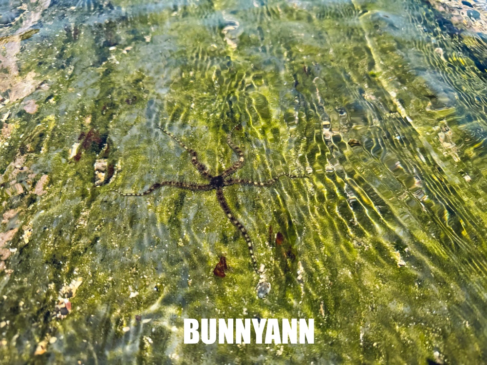 誰說海邊沒人來玩，就是海水戲水池，海上步道與海景美到不行