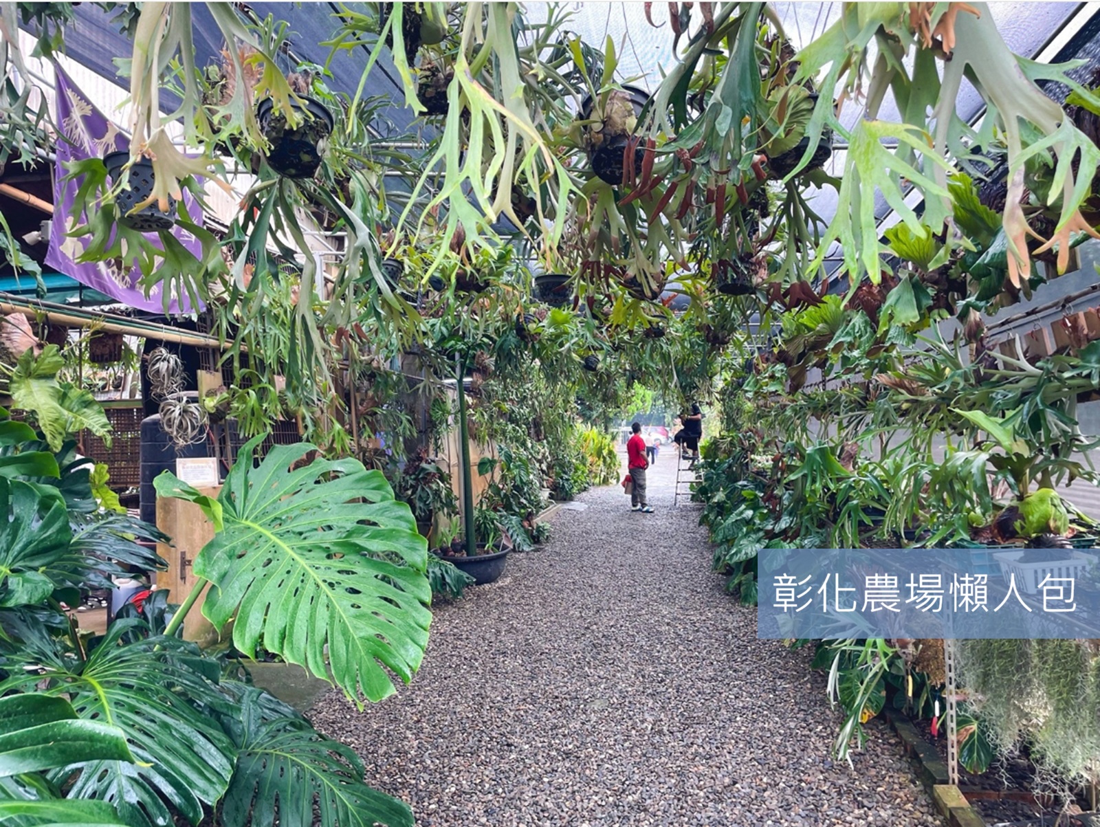 2026彰化農場推薦｜精選20個親子友善＆必訪觀光牧場懶人包