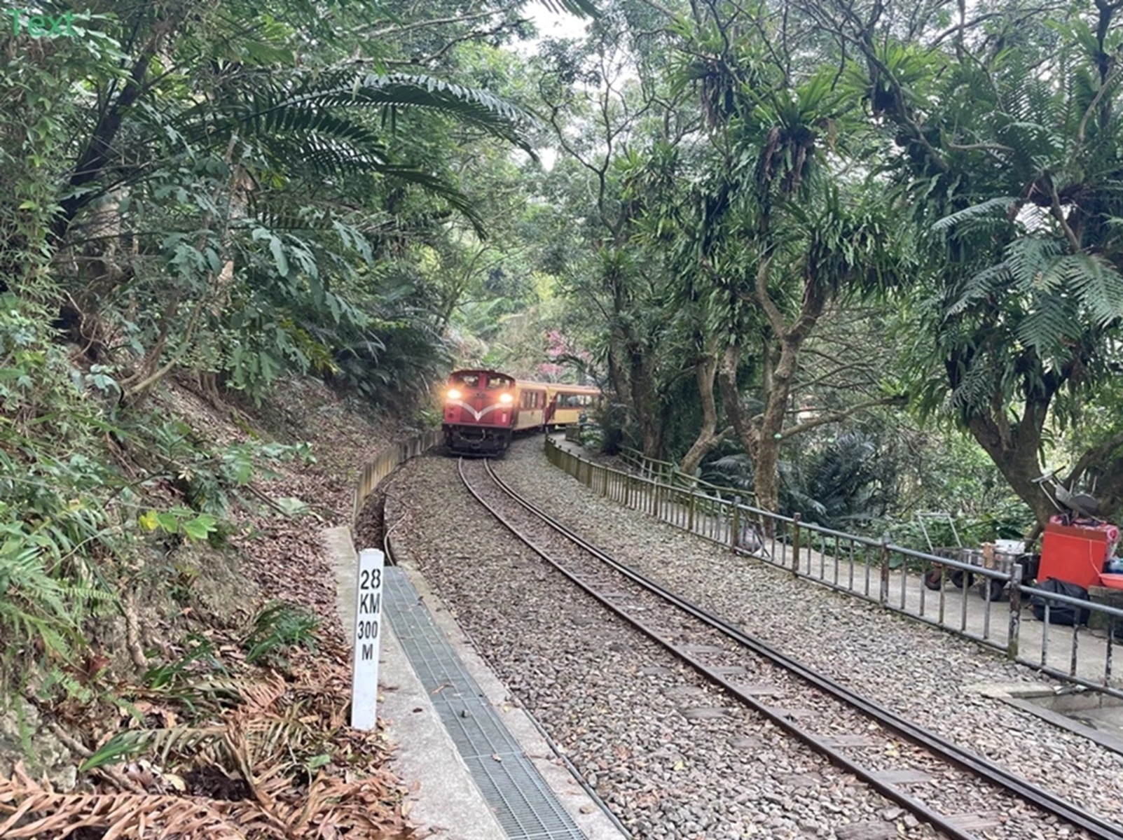 嘉義【獨立山車站】兩小時來回的獨立山步道，車站、小火車、景色每樣都值得到訪