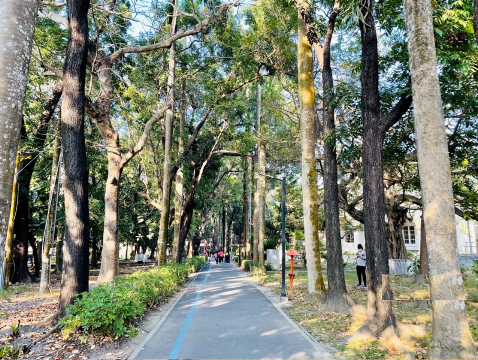 高雄步道懶人包