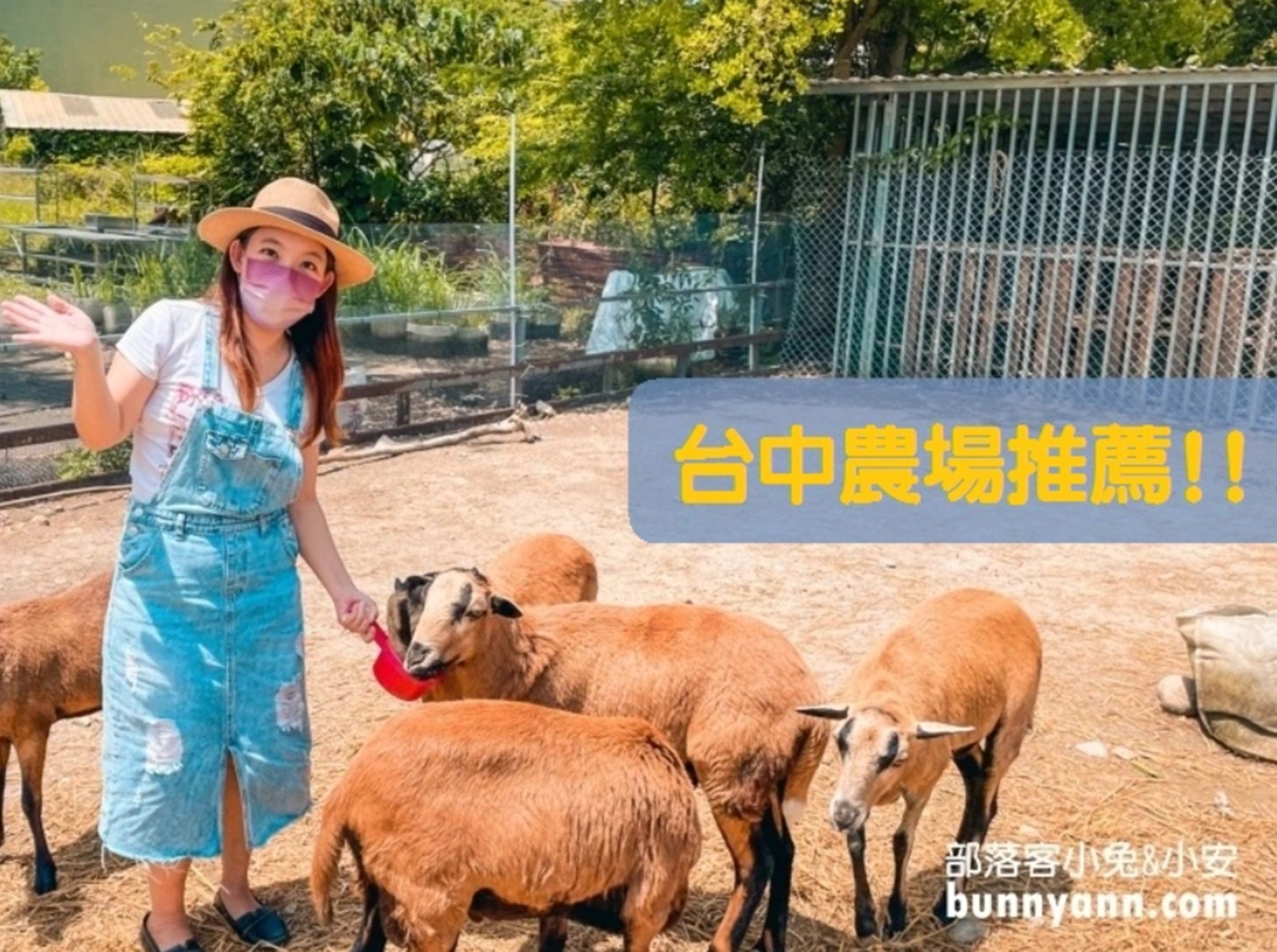 2026【台中農場】推薦20個必訪農牧場，山羊和花海都能親近