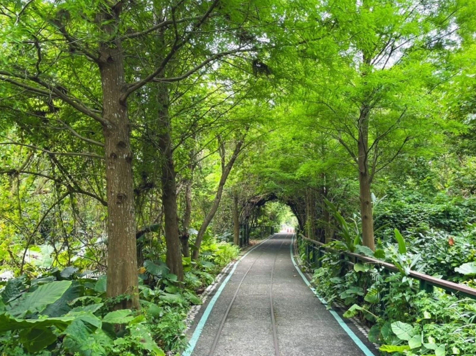 2026【雲林步道】推薦15個登山步道與踏青好地方一次打包