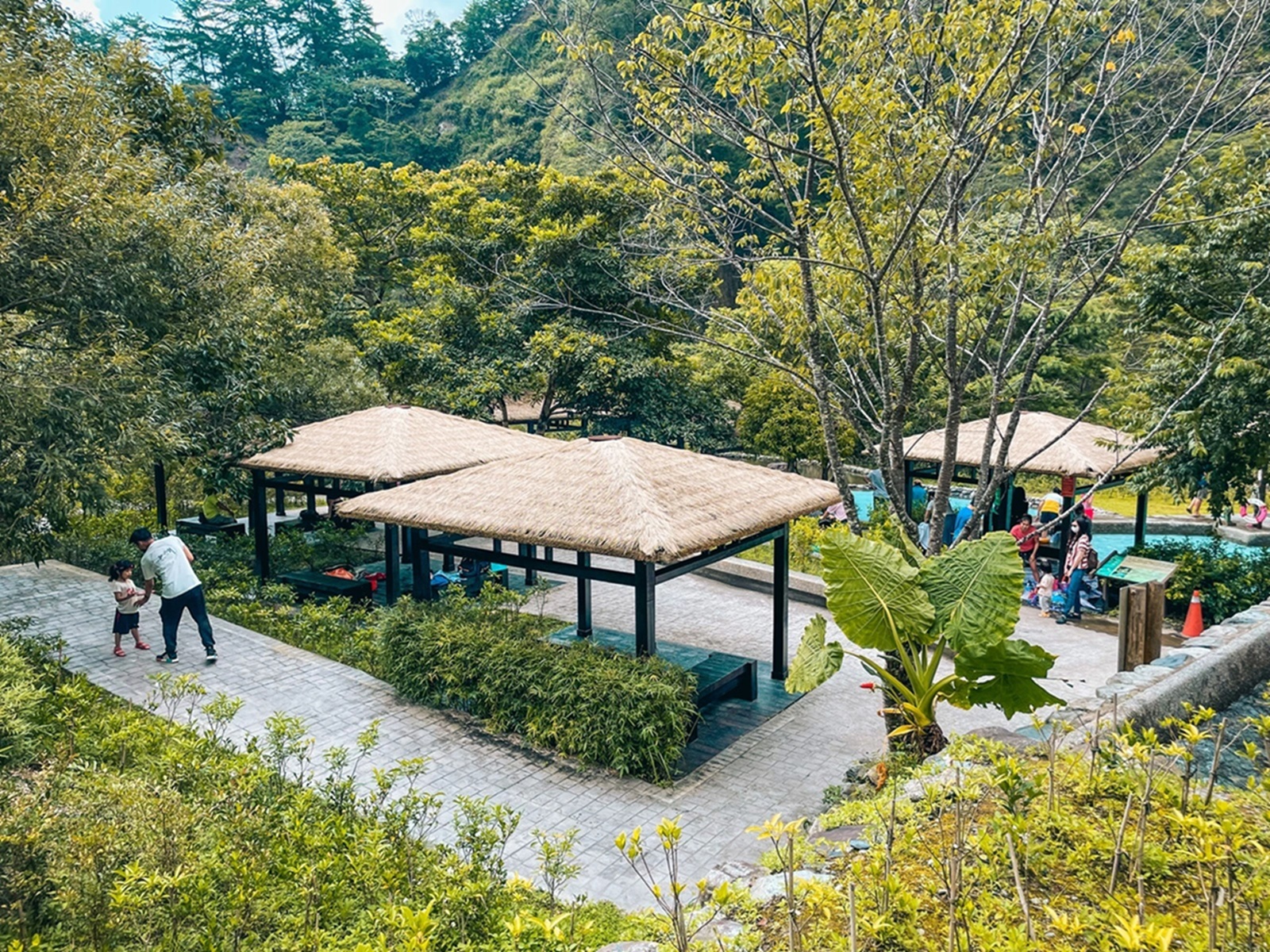 八仙山國家森林遊樂區