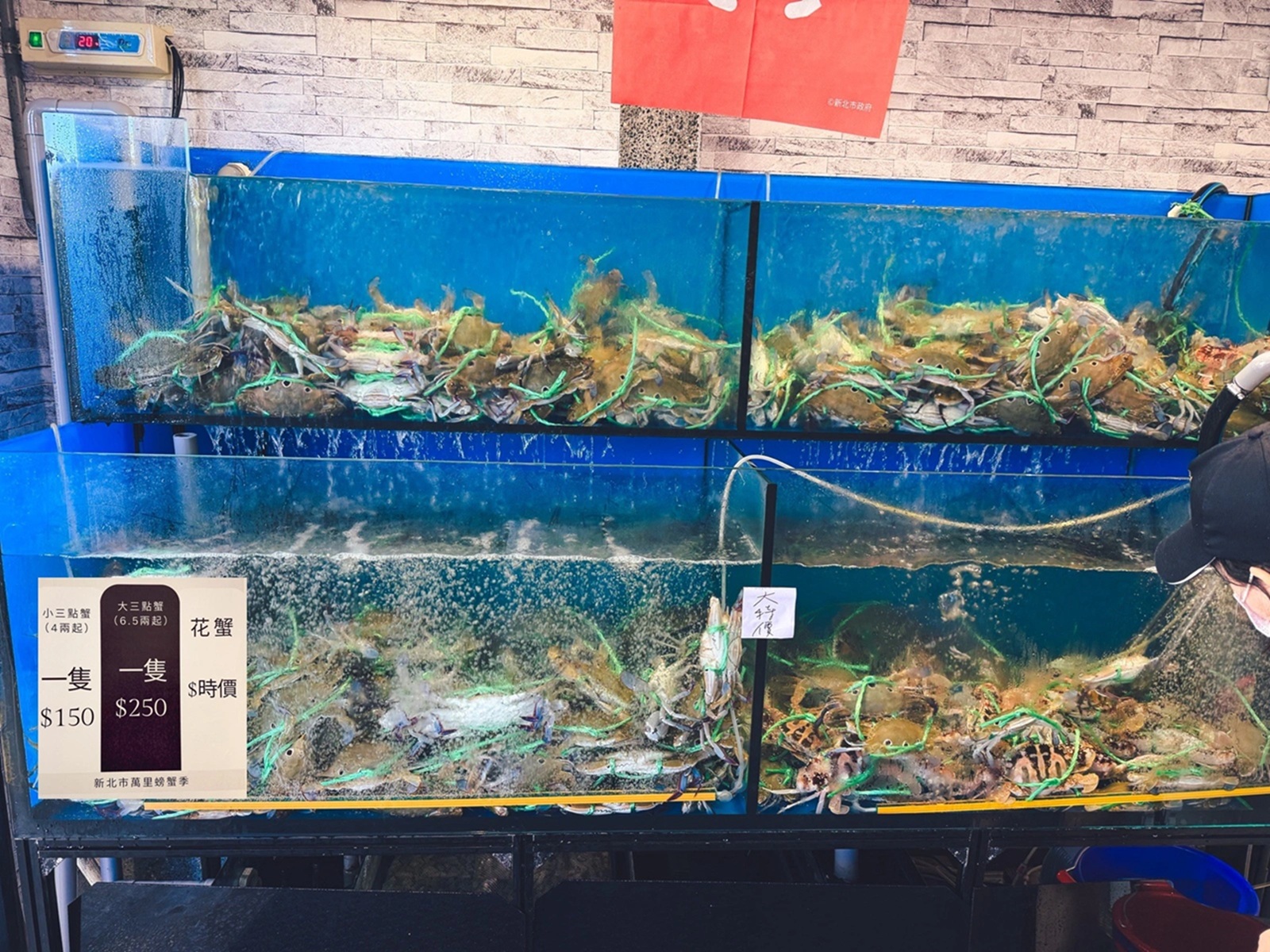 金山【花義思廚坊】現撈螃蟹每隻300元內,小卷火鍋也很逆天豐盛 金山【花義思廚坊】現撈螃蟹每隻300元內,小卷火鍋也很逆天豐盛