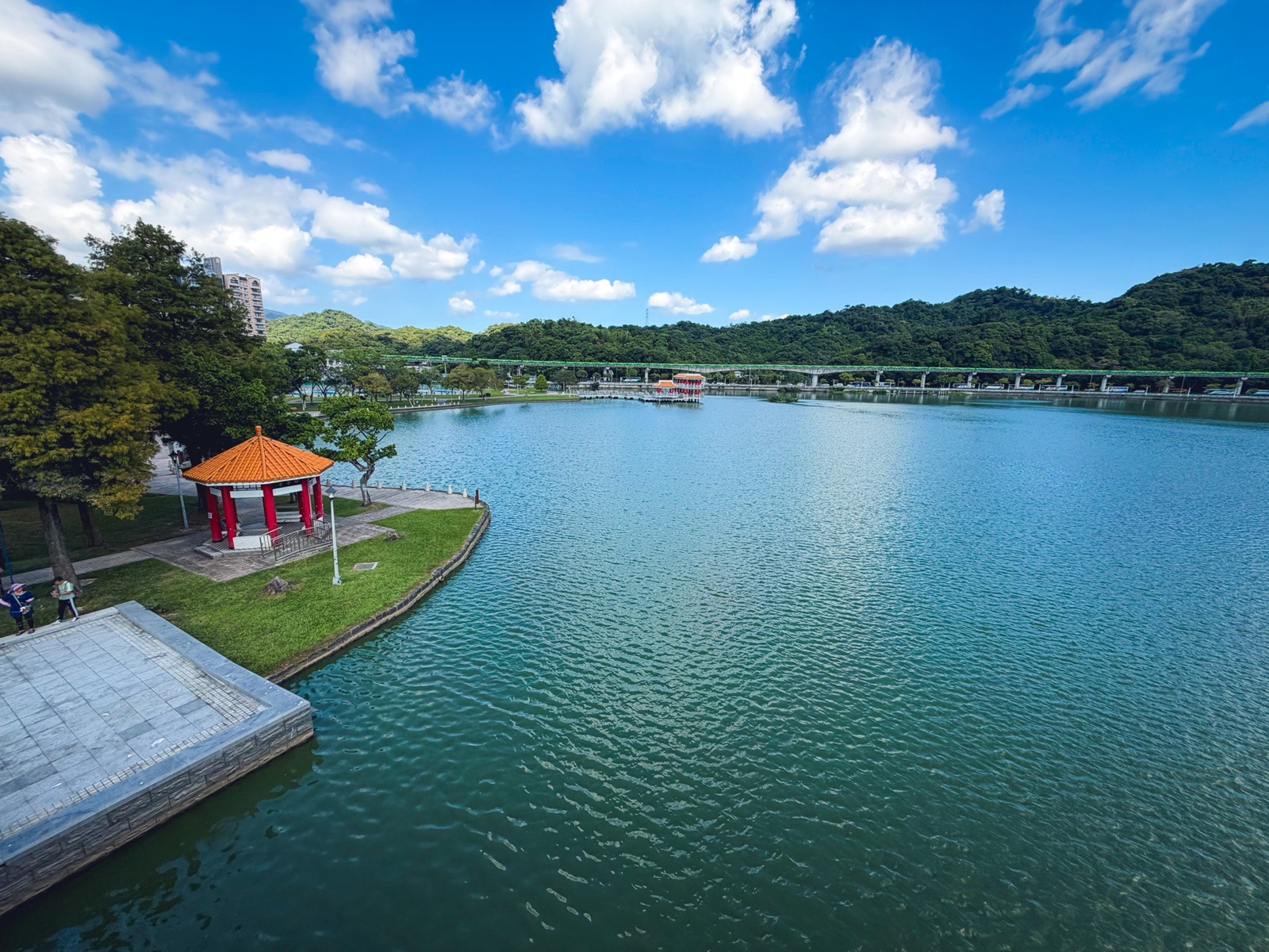 台北【大湖公園】出捷運站走五分鐘就到的在地人欣賞湖景去處，最佳地點公開!!