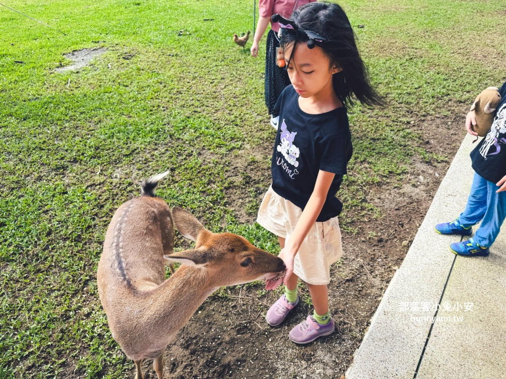 新北【亮山川休閒農場】最大特色就是園區內那條繽紛吸睛的彩色鋼構步道!