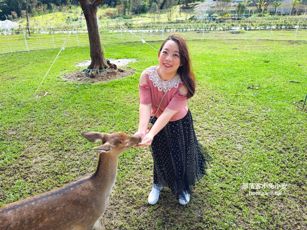 新北【亮山川休閒農場】最大特色就是園區內那條繽紛吸睛的彩色鋼構步道！