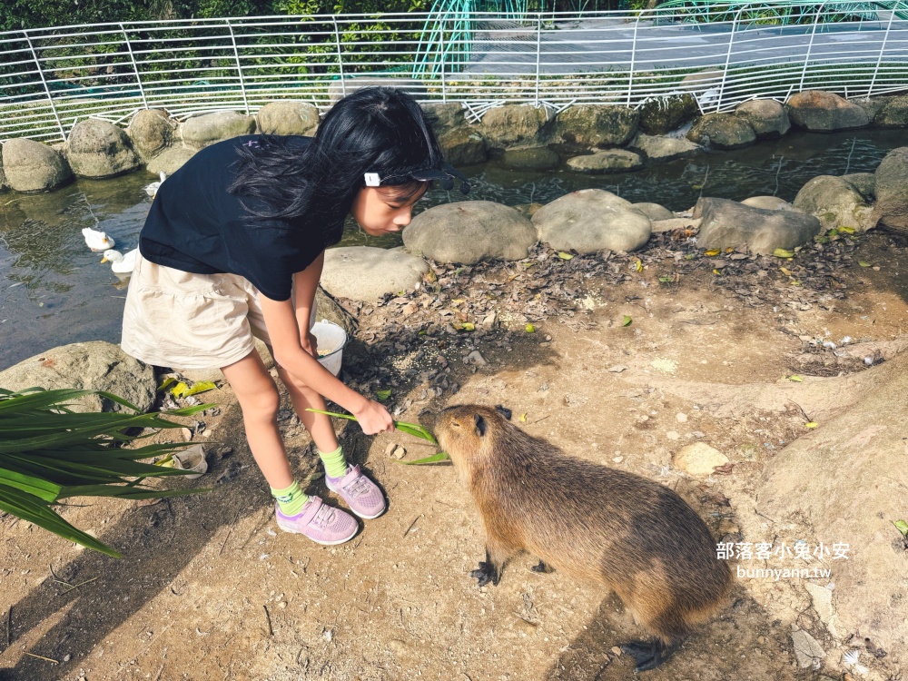新北【亮山川休閒農場】最大特色就是園區內那條繽紛吸睛的彩色鋼構步道！
