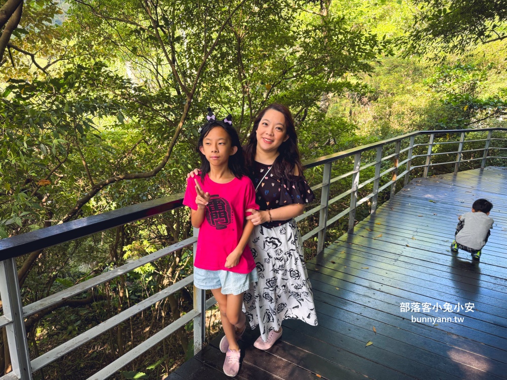 五股最Chill森林步道！林梢步道必走的森林步道與自然生態園區全攻略!