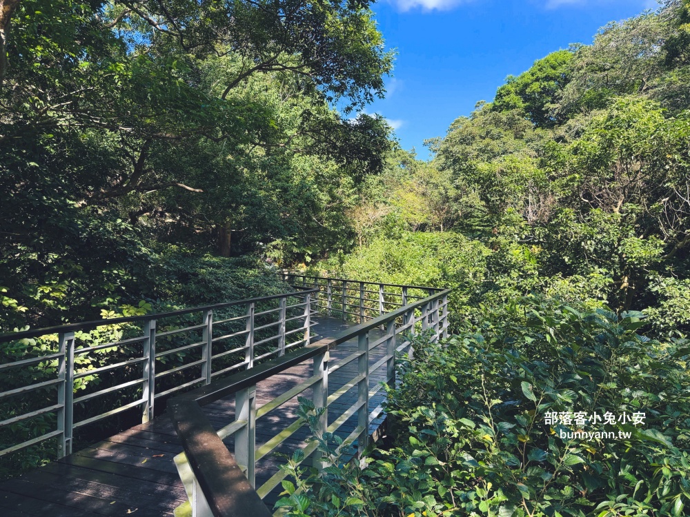五股最Chill森林步道！林梢步道必走的森林步道與自然生態園區全攻略!
