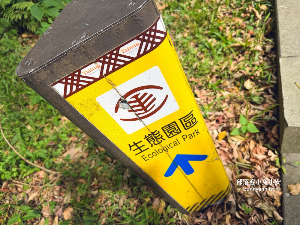 五股最Chill森林步道！林梢步道必走的森林步道與自然生態園區全攻略!