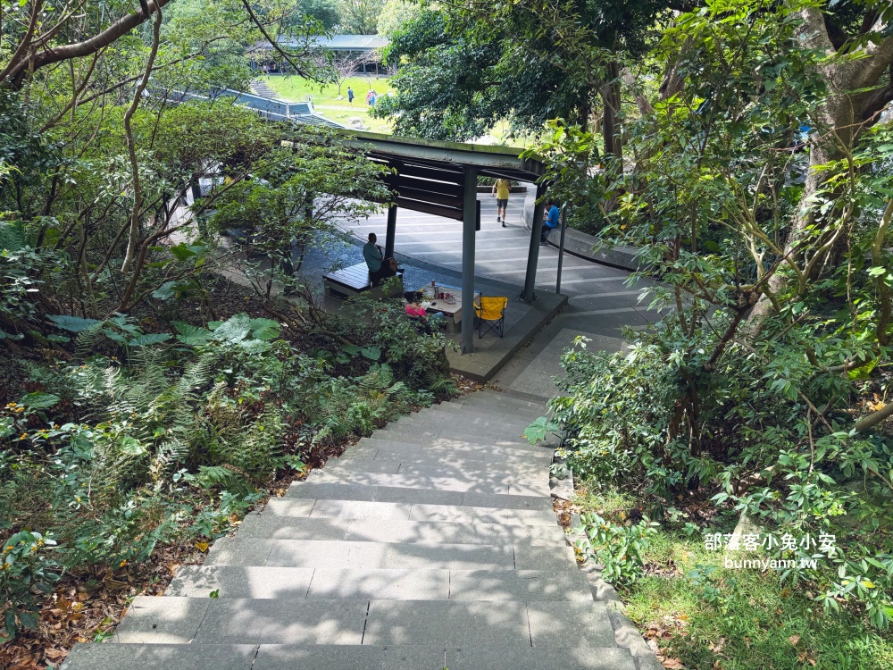 五股最Chill森林步道！林梢步道必走的森林步道與自然生態園區全攻略!