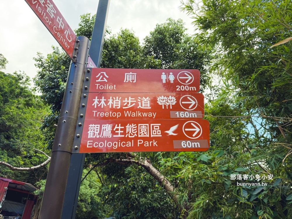 五股最Chill森林步道！林梢步道必走的森林步道與自然生態園區全攻略!