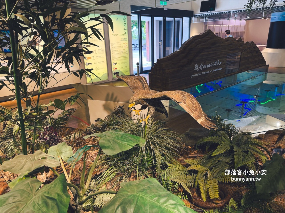 五股最Chill森林步道！林梢步道必走的森林步道與自然生態園區全攻略!