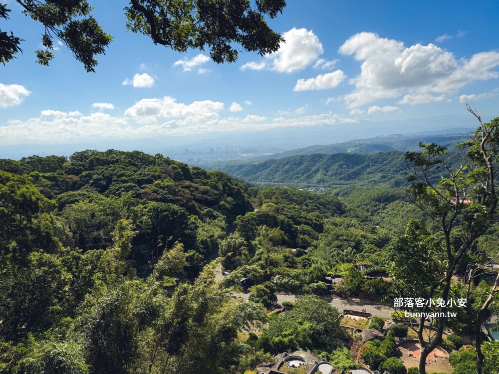 五股最Chill森林步道！林梢步道必走的森林步道與自然生態園區全攻略!