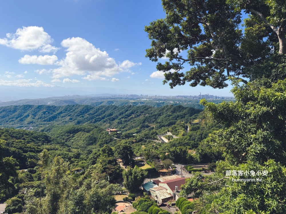 五股最Chill森林步道！林梢步道必走的森林步道與自然生態園區全攻略!