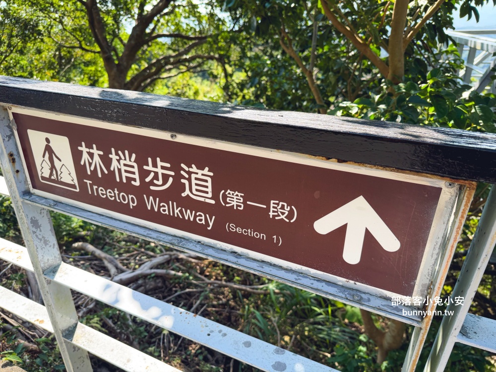五股最Chill森林步道！林梢步道必走的森林步道與自然生態園區全攻略!