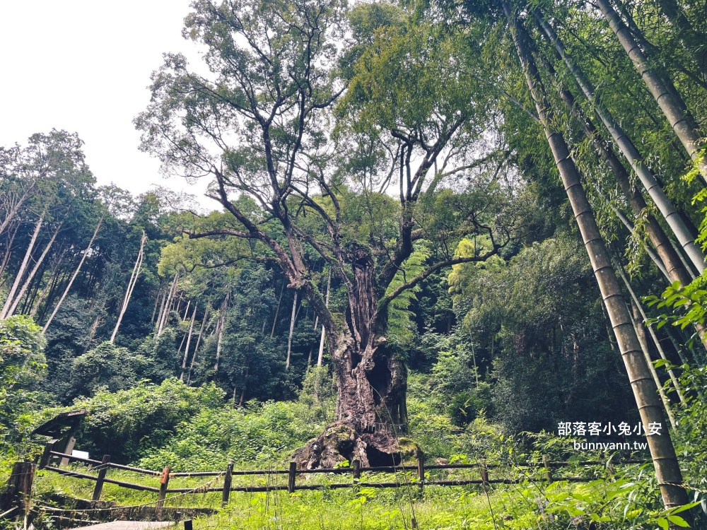 九州佐賀一日遊》有田陶瓷公園、武雄神社、佑德稻荷神社這樣玩不繞路