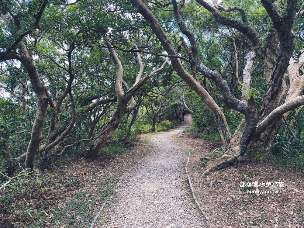 新北【牛港稜步道】來回一小時的登山步道,海景跟山景一次飽覽!! 新北【牛港稜步道】來回一小時的登山步道,海景跟山景一次飽覽!!