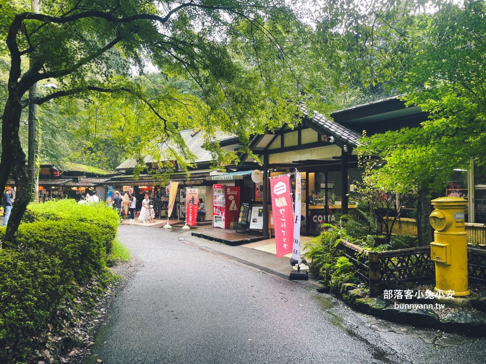 像在明信片一樣！九州高千穗峽一日遊攻略，必划船跟欣賞瀑布