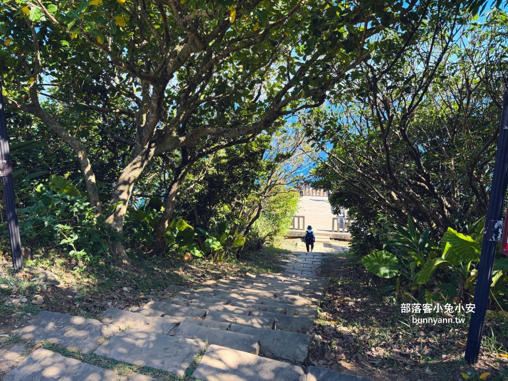 新北市【龍洞灣岬步道】來回往返不用一小時，輕鬆欣賞壯麗海岸景色